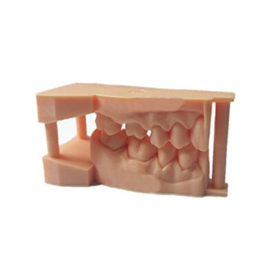 Dental Model Resin (3 Pack) Free Shipping