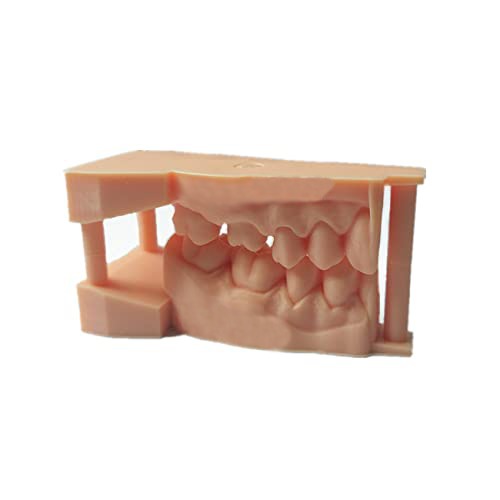 Dental Model Resin (3 Pack) Free Shipping - Image 2