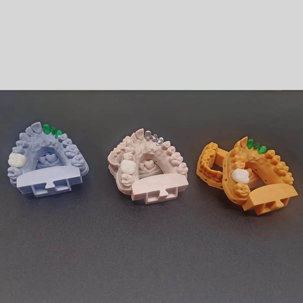 Dental Model Resin (3 Pack) Free Shipping - Image 4