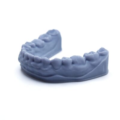 Horseshoe Dental Model