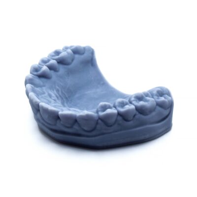 Palate/Lingual Dental Model