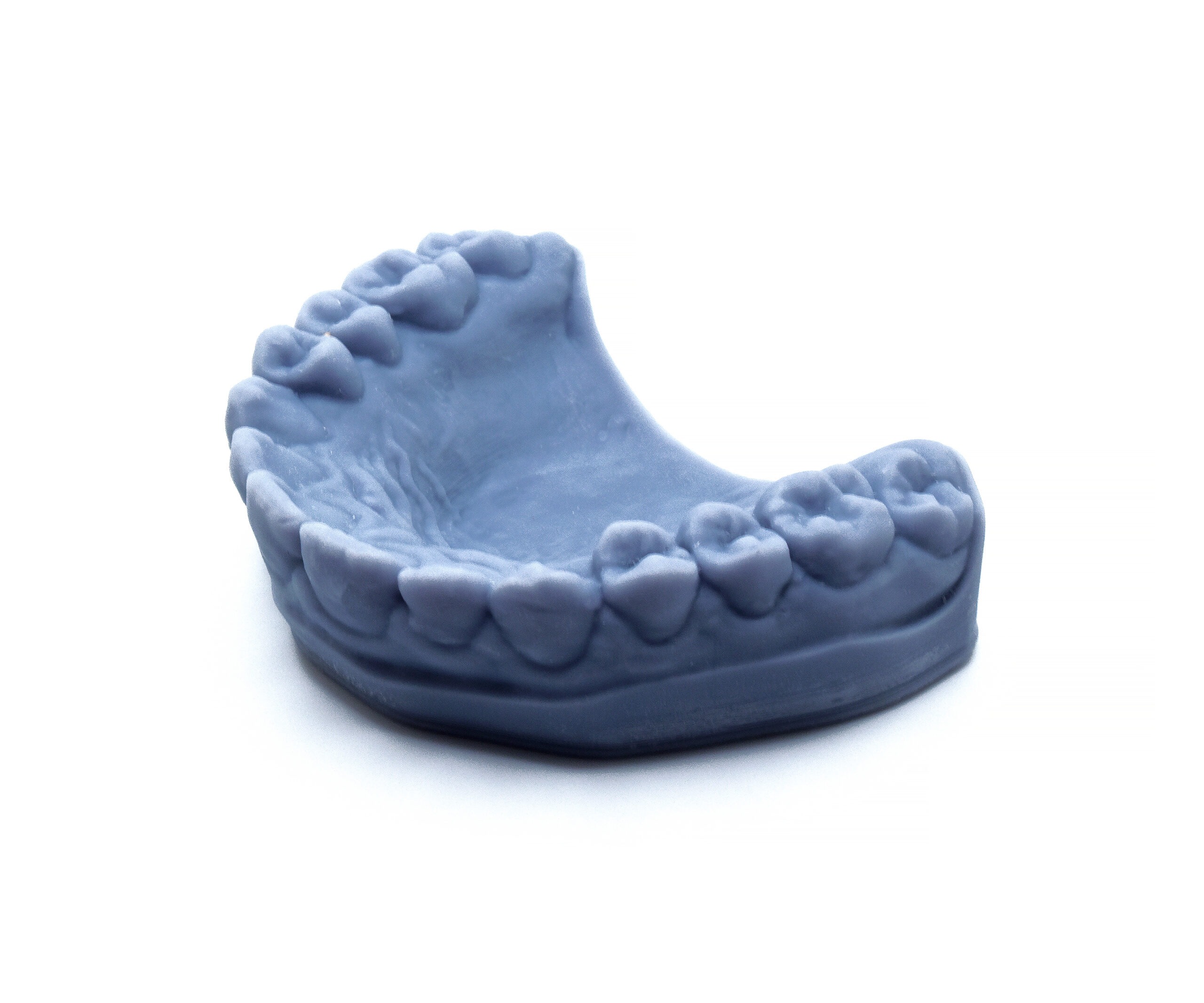 Palate/Lingual Dental Model